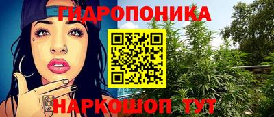 мдпв Дубна