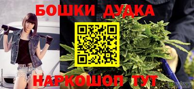 мдпв Дубна