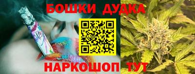 мдпв Дубна
